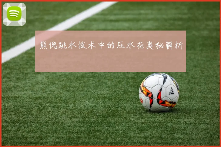 熊倪跳水技术中的压水花奥秘解析
