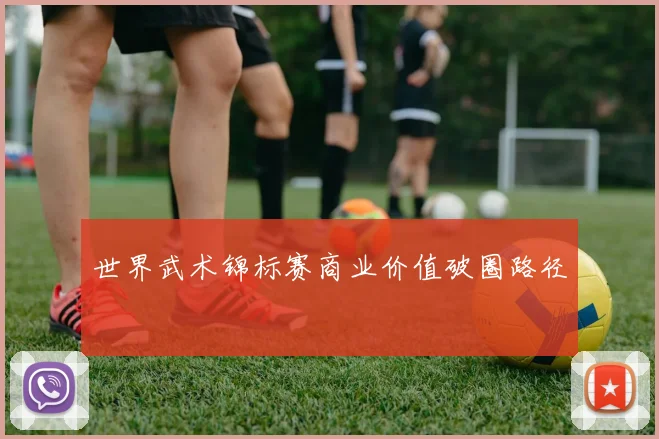 世界武术锦标赛商业价值破圈路径